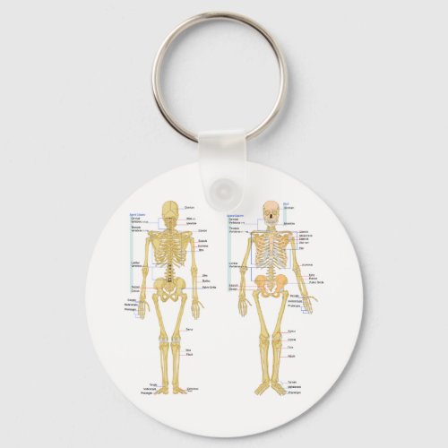 Human Skeleton labeled anatomy chart Keychain