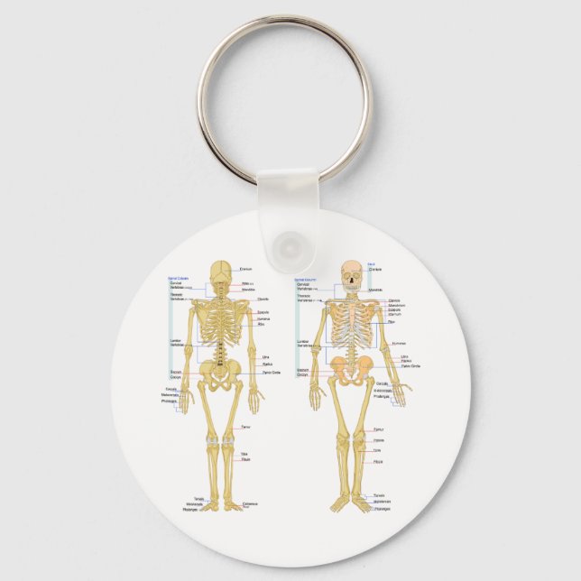Human Skeleton labeled anatomy chart Keychain (Front)