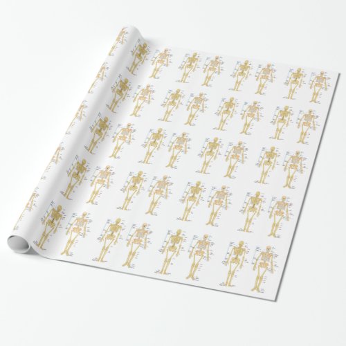 Human Skeleton labeled anatomy chart Wrapping Paper