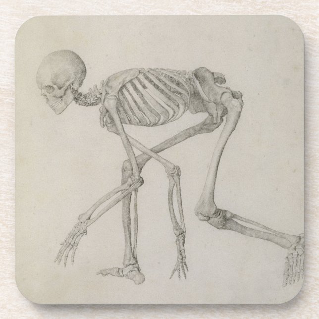 Human Skeleton: Lateral view in Crouching Posture, Beverage Coaster (Front)
