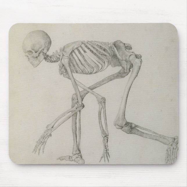 Human Skeleton: Lateral view in Crouching Posture, Mouse Pad (Front)