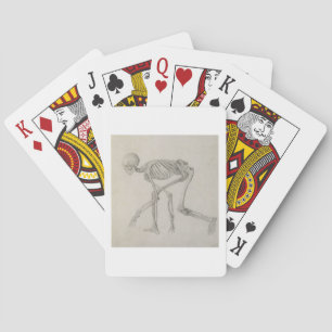 Human Skeleton: Lateral view in Crouching Posture, Poker Cards
