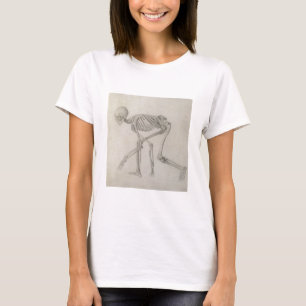 Human Skeleton: Lateral view in Crouching Posture, T-Shirt