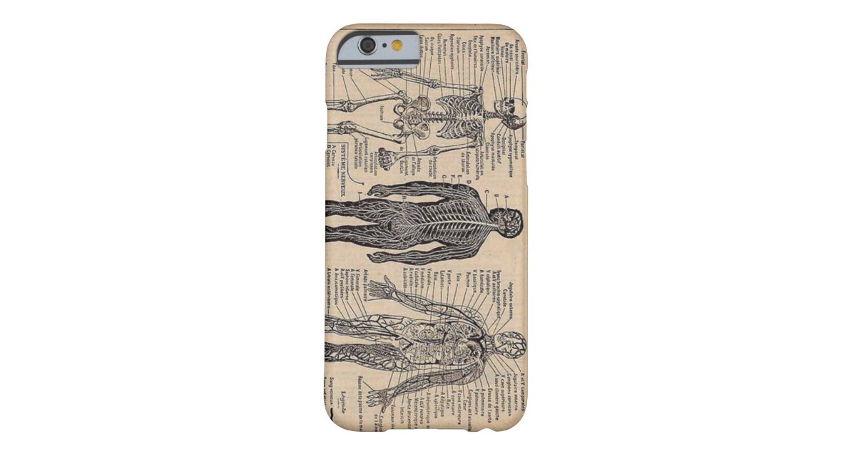 Human Skeleton Medical Diagram iPhone 6 case | Zazzle.com