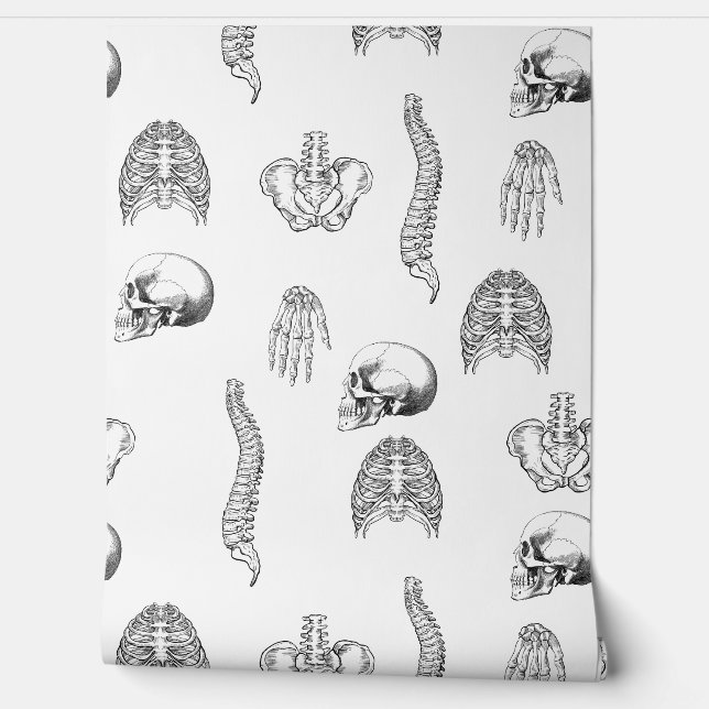 Human Skeleton Pattern Wallpaper Wallpaper (Unrolling)