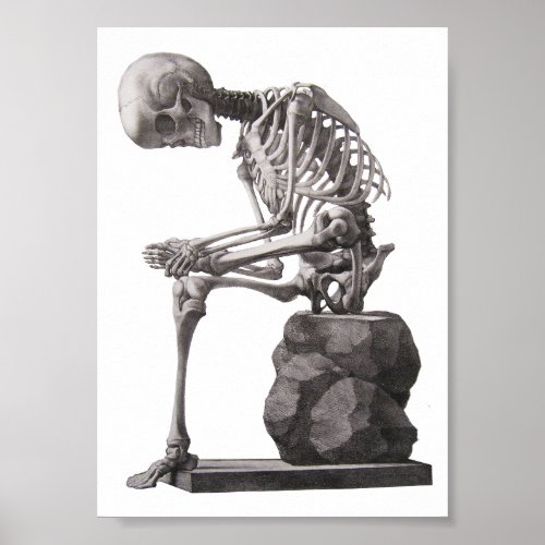 Human Skeleton Sitting Anatomy science Art Poster