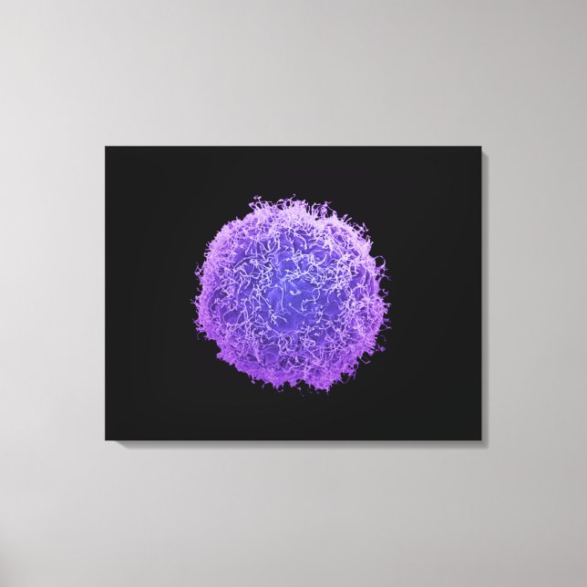 Human Skin Cancer Cell Canvas Print (Front)