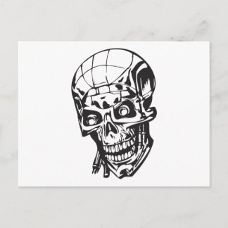 Human Skull 159 Postcard