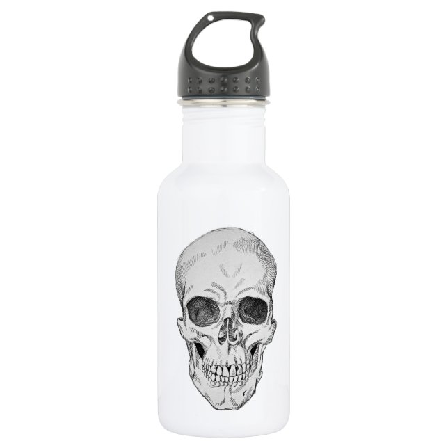Human Skull Anatomical Illustration (Frontal View) Stainless Steel Water Bottle (Front)