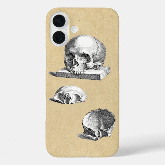 Human Skull Anatomy Cross Section Case-Mate iPhone Case (Back)