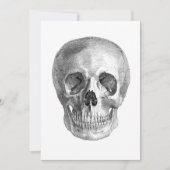 Human skull anatomy sketch drawing (Front)