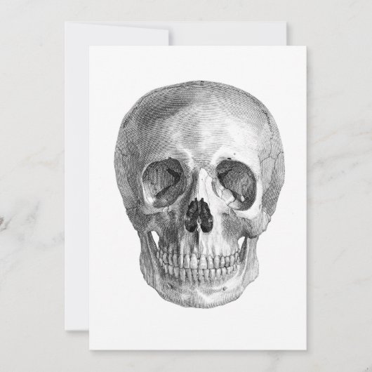 Human skull anatomy sketch drawing (Front)