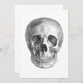 Human skull anatomy sketch drawing (Front/Back)