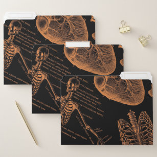 Human skull body skeleton Nurse halloween File Folder