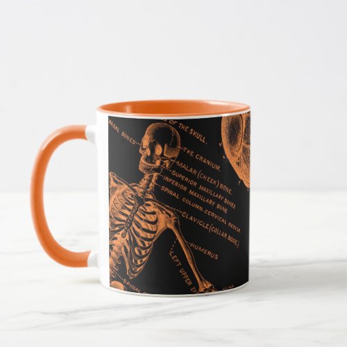 Human skull body skeleton Nurse halloween Mug