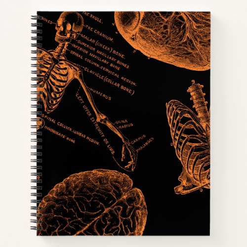 Human skull body skeleton Nurse halloween  Notebook