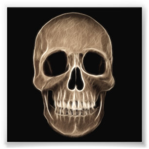 Human Skull Halloween X-Ray Skeleton Photo Print