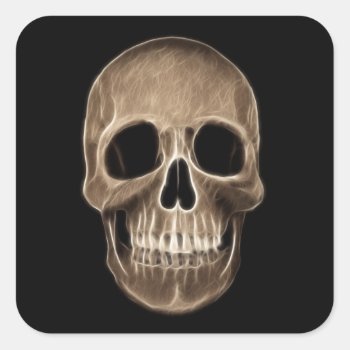 Human Skull Halloween X-ray Skeleton Square Sticker by Aurora_Lux_Designs at Zazzle