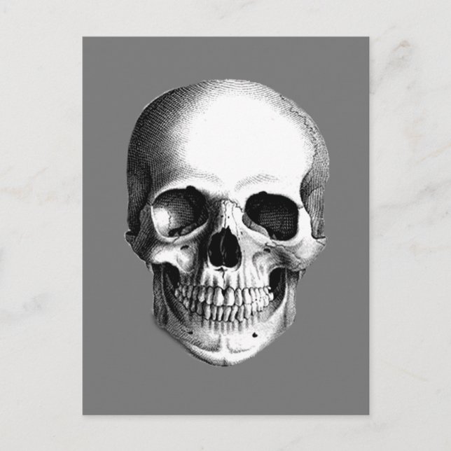 Human Skull Postcard (Front)
