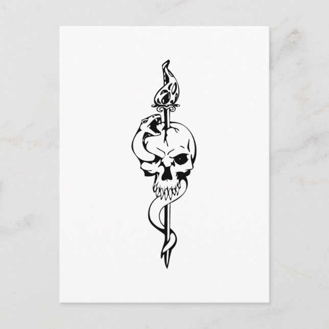 Human Skull Postcard (Front)