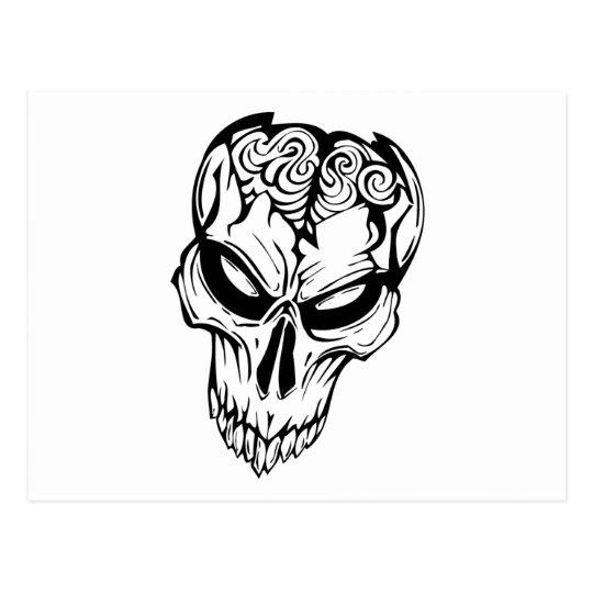 Human Skull Postcard