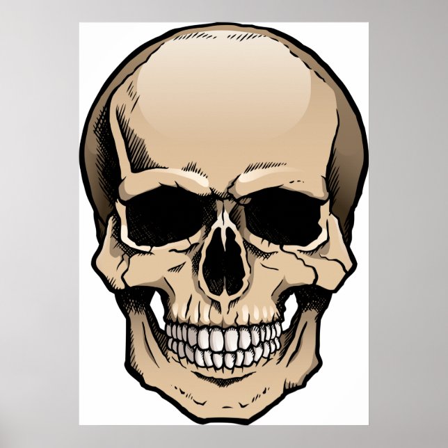 Human Skull Poster (Front)