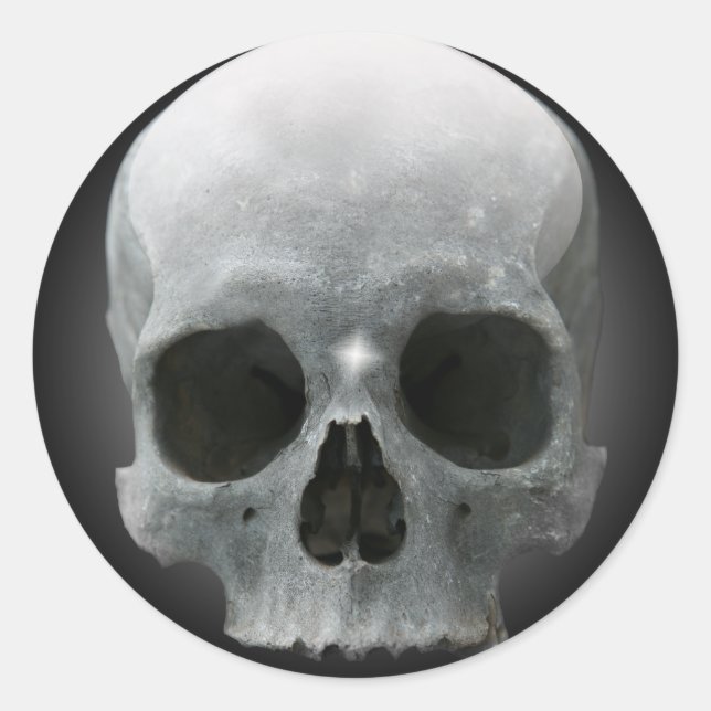 Human Skull Sticker (Front)