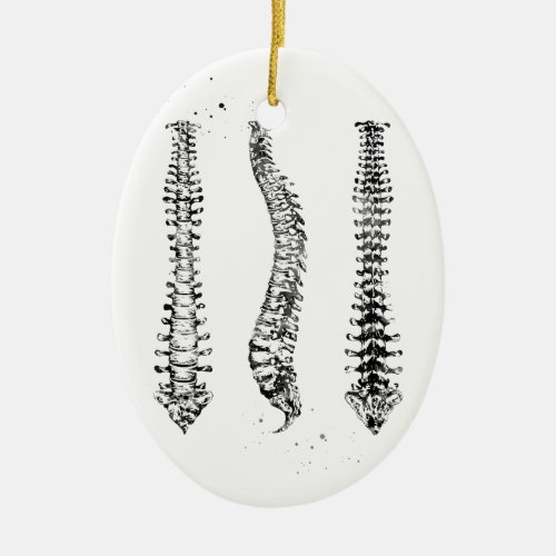 Human Spine Ceramic Ornament