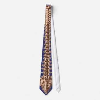 Human Spine Design Necktie for Doctors