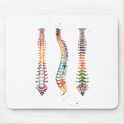 Human Spine Mouse Pad