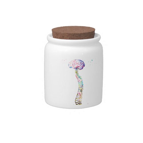 Human Spine with Brain Candy Jar