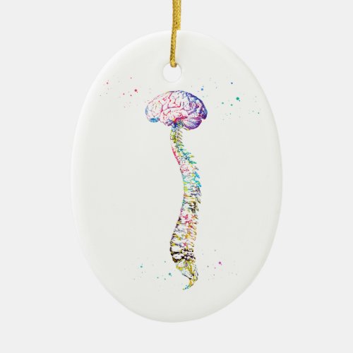 Human Spine with Brain Ceramic Ornament