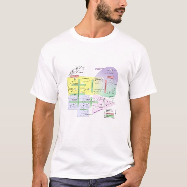 Human Steroidogenesis Diagram Biological Chemical  T-Shirt (Front)
