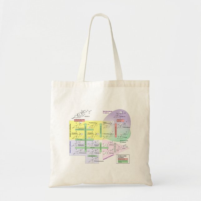 Human Steroidogenesis Diagram Biological Chemical  Tote Bag (Front)