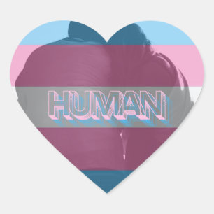 Human Trans Pride Stickers