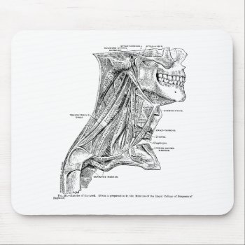 Human Vintage Anatomy Muscles Of The Neck Mouse Pad by vintage_anatomy at Zazzle