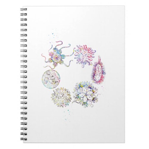 Human viruses and microbes notebook