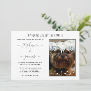 Humans Getting Married Pet Lovers Photo Wedding Invitation