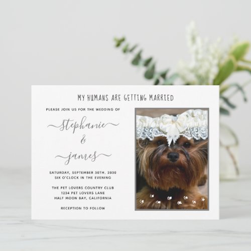 Humans Getting Married Pet Lovers Photo Wedding Invitation