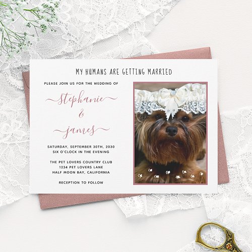 Humans Getting Married Pet Photo Rose Gold Wedding Invitation