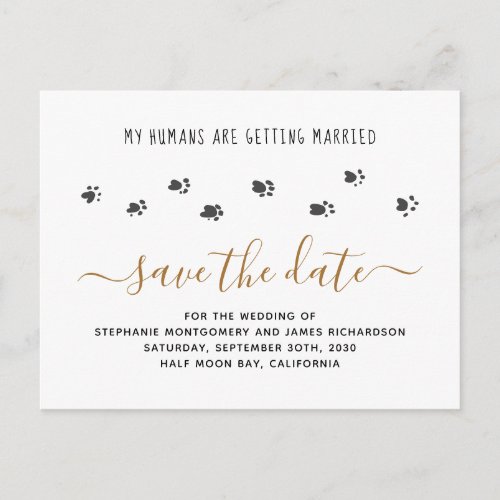 Humans Getting Married Pet Wedding Save the Date Invitation Postcard