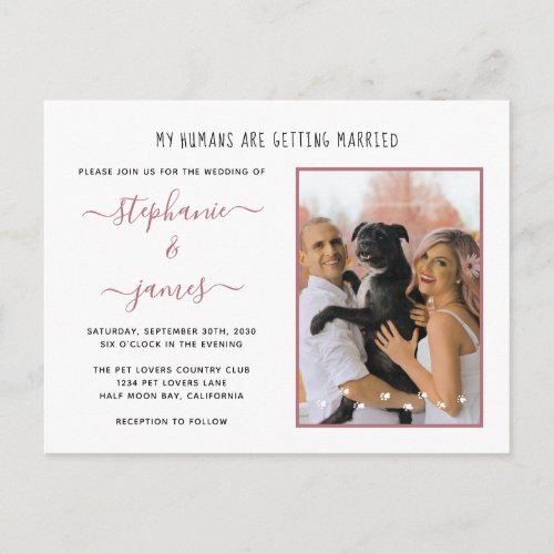 Humans Getting Married Rose Gold Pet Photo Wedding Invitation Postcard