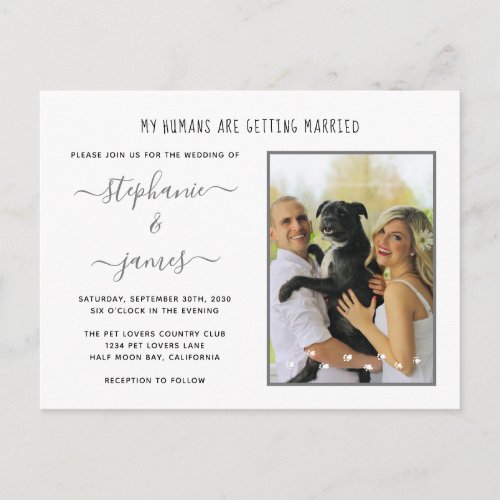 Humans Getting Married Silver Pet Photo Wedding Invitation Postcard