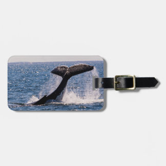 Humback Whale Luggage Tag - Tail Fluke