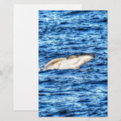 HUMBACK WHALE QUEENSLAND AUSTRALIA (Front/Back)