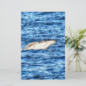HUMBACK WHALE QUEENSLAND AUSTRALIA (Standing Front)