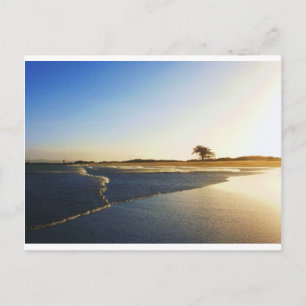 Humboldt Bay Eureka Ca. 2 Postcard