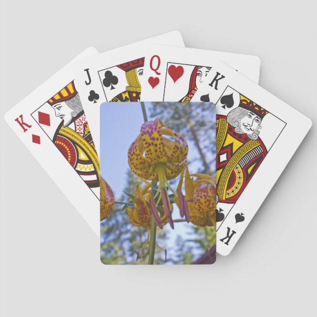 Humboldt Lily Poker Cards (Back)