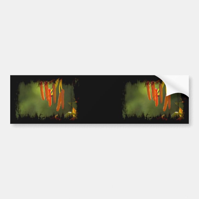 Humboldt Lily Stamens Bumper Sticker (Front)