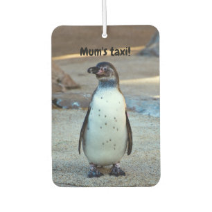 Humboldt Penguin Car air freshener